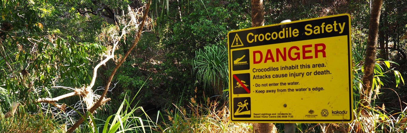 Can you swim in Darwin?