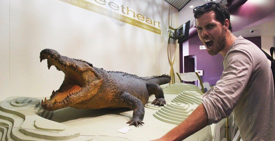 crocodile in darwin