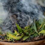 Flames and smoke from bark vessel and leaves used in traditional Australian Aboriginal smoking ceremony.
