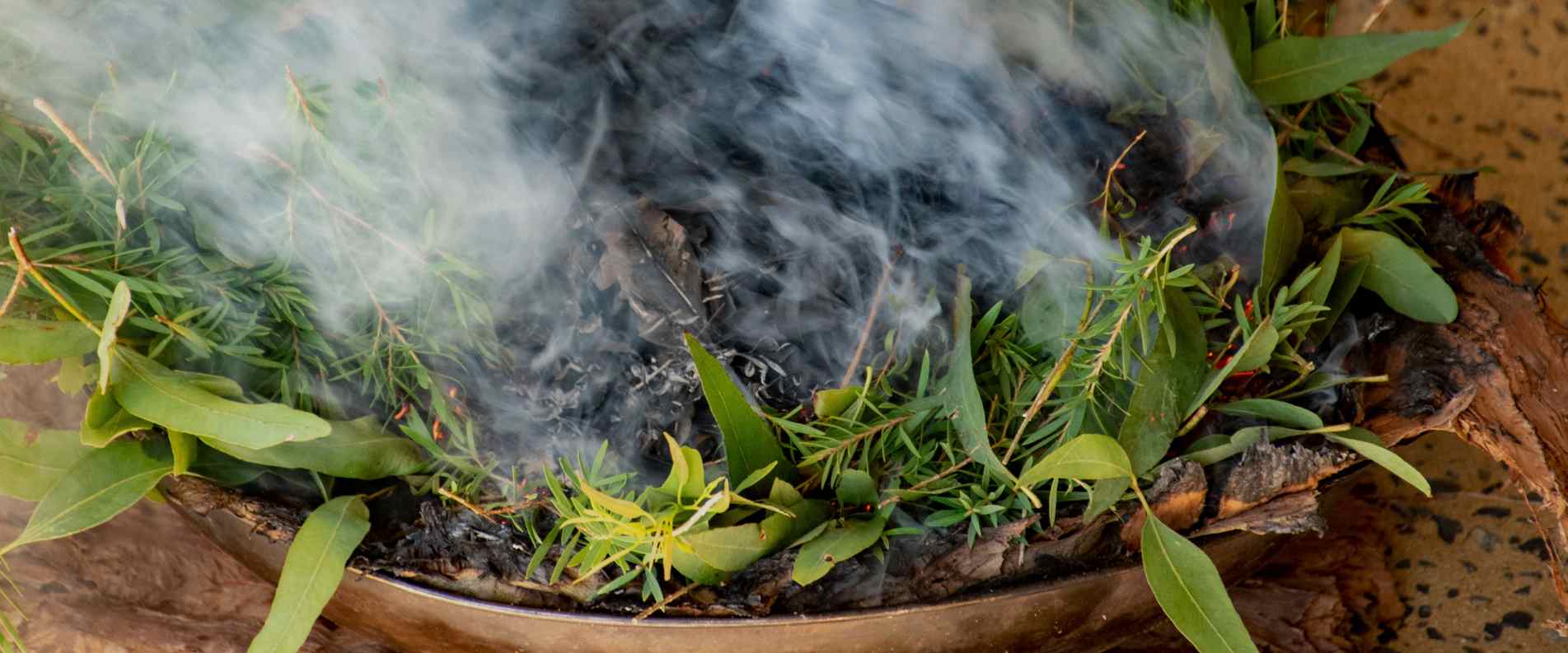 Flames and smoke from bark vessel and leaves used in traditional Australian Aboriginal smoking ceremony.