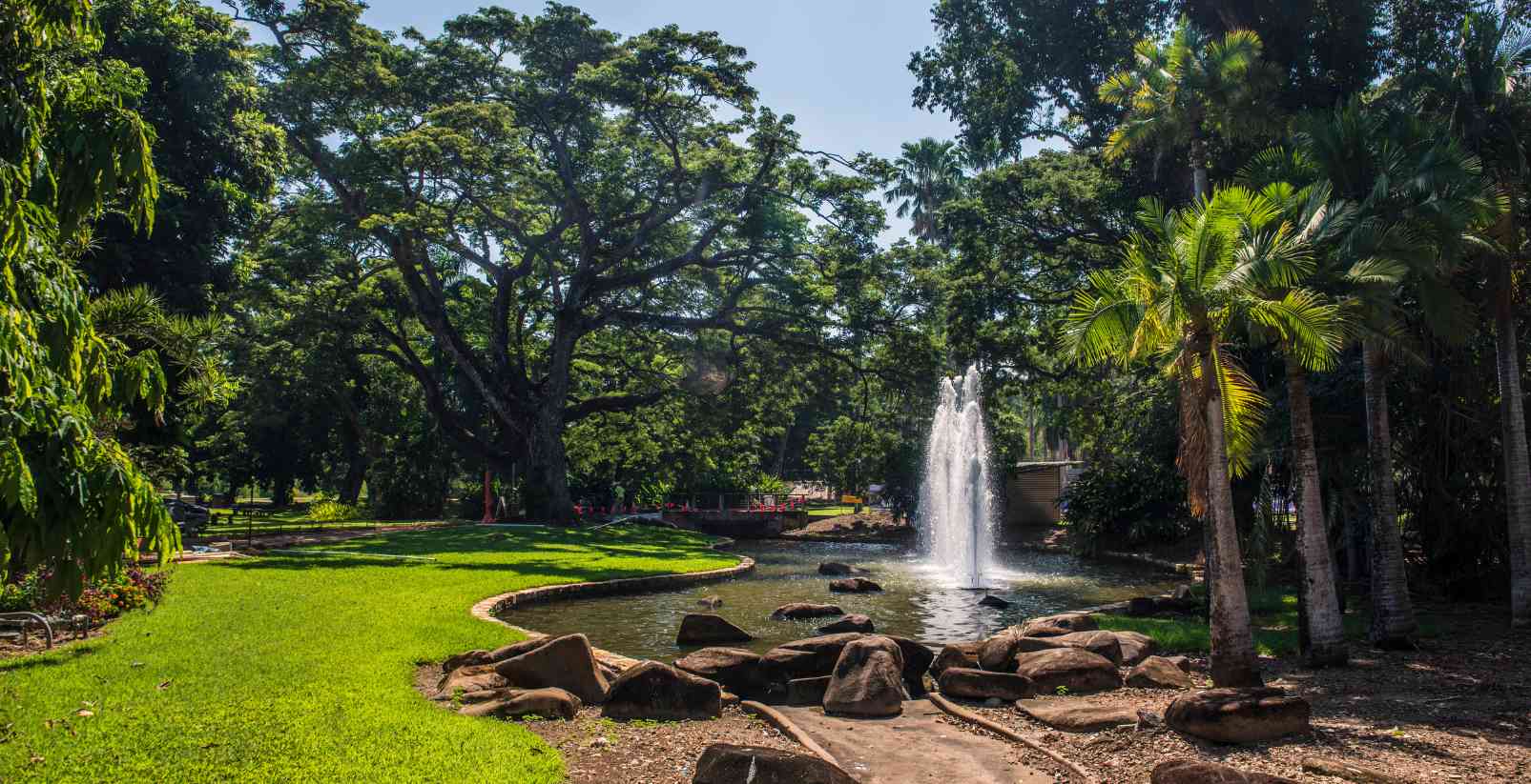 botantic gardens in the NT