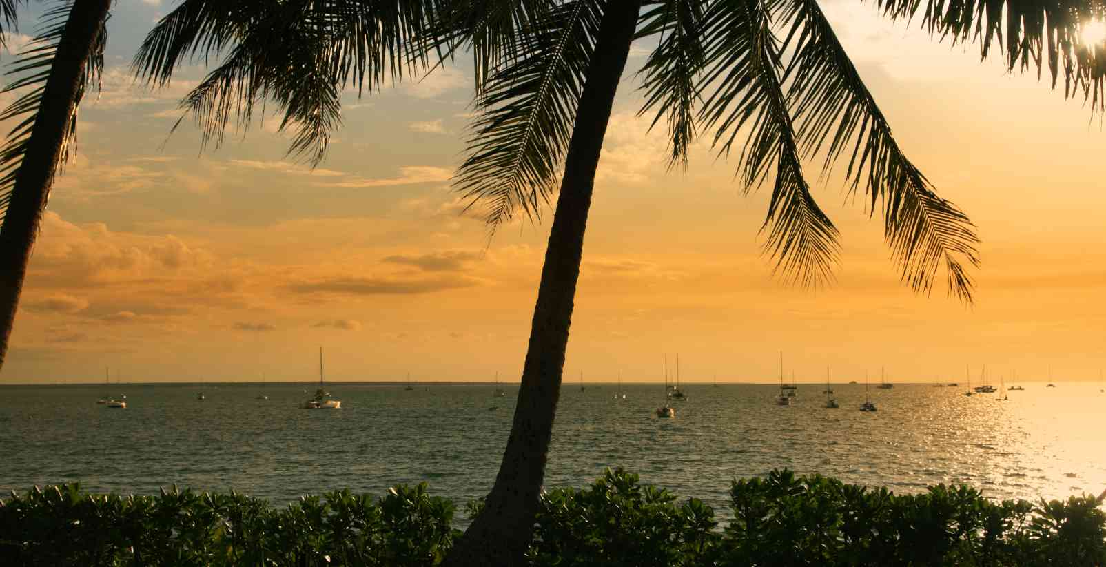 sunset over ocean with palm trees
