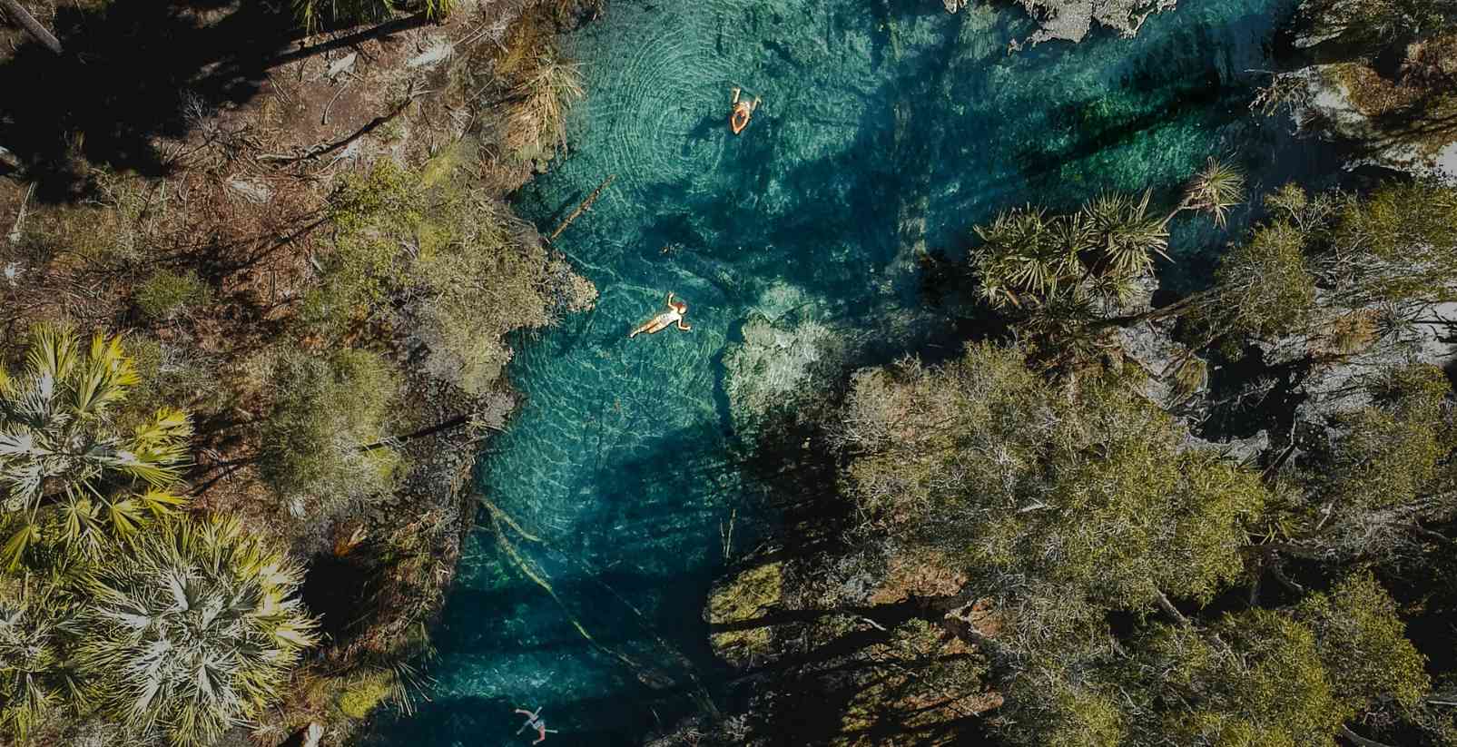 Mataranka Thermal Pool