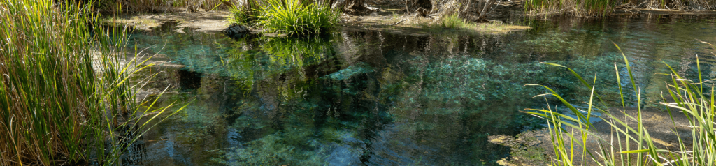 Bitter Springs