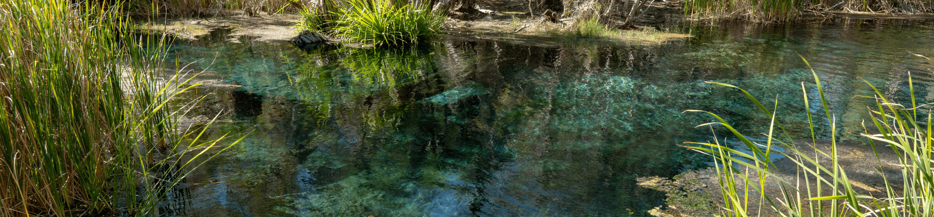 Bitter Springs