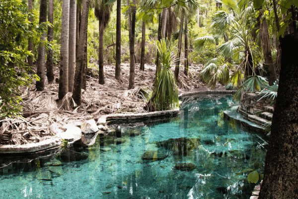 Mataranka Hot Springs