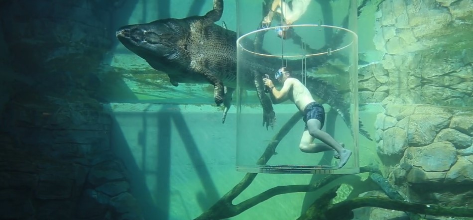 Crocosaurus Cove
