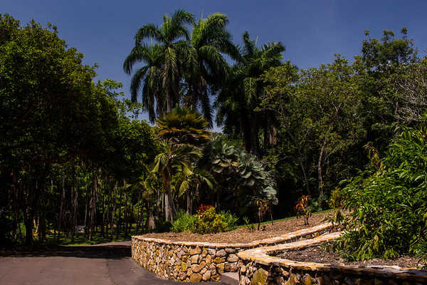 Darwin Botanic Gardens