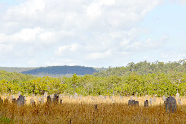 Darwin Litchfield National Park