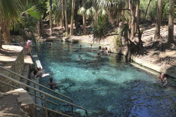 Mataranka Thermal Pool