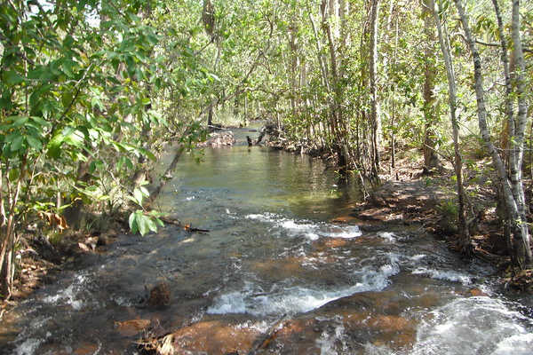 Shady Creek Walk