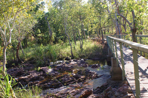 Wangi Falls Walk