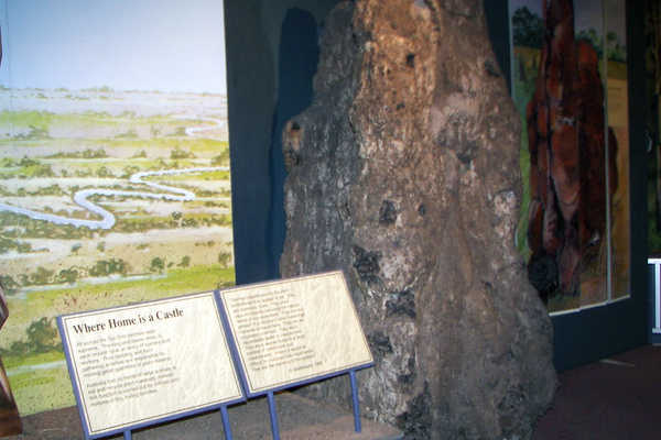 Window on the Wetlands Exhibition