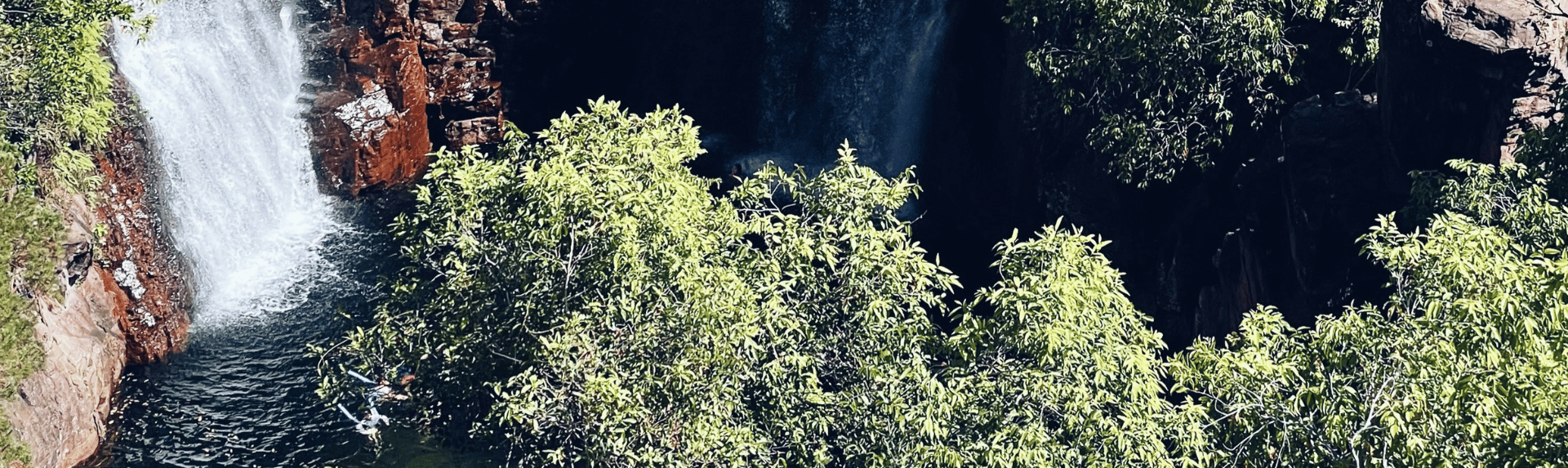 litchfield national park bushes